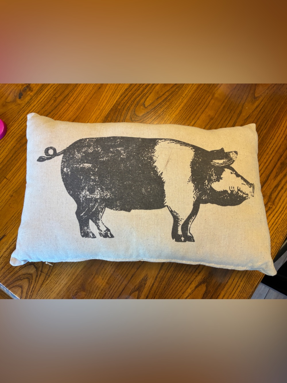 Cream Farmhouse Pig Accent Pillow - Farm House Throw Pillow